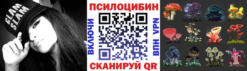 закладка  Суровикино  Галлюциногенные грибы Cubensis 